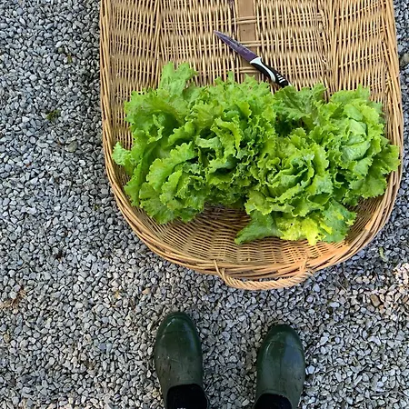 Semesterbostad Remanso Del Rio Saja *