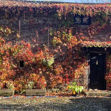 Remanso Del Rio Saja Renedo De Cabuerniga