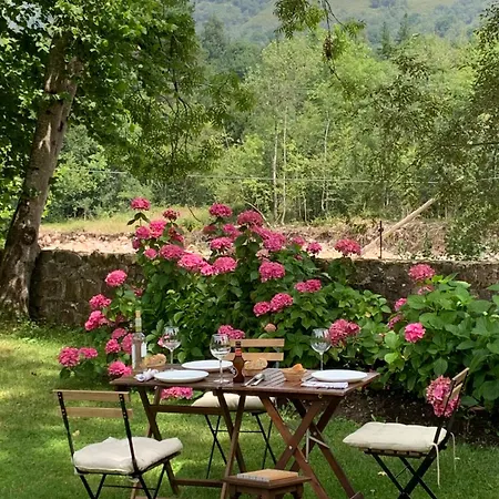 Remanso Del Rio Saja *