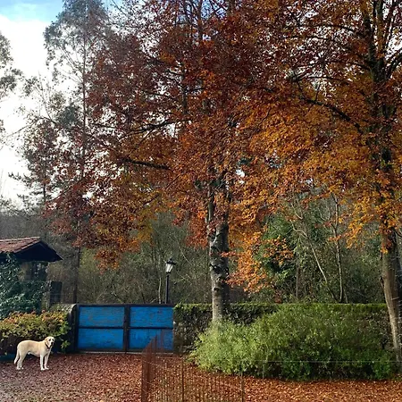 Holiday home Remanso Del Rio Saja