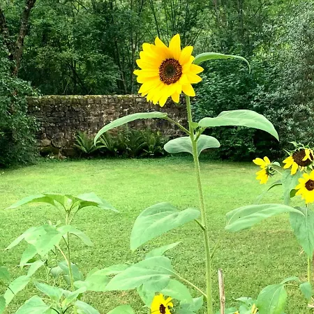 Casa vacanze Remanso Del Rio Saja Renedo De Cabuerniga