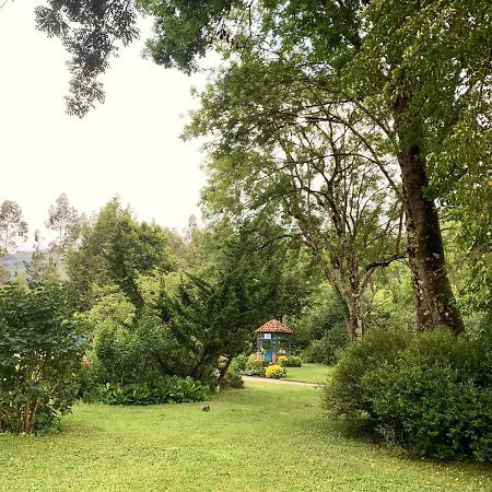 Remanso Del Río Saja