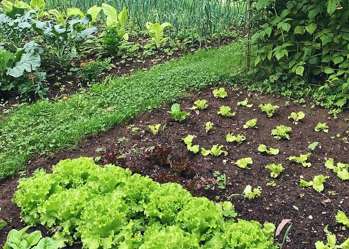 Semesterbostad Remanso Del Rio Saja Renedo De Cabuerniga