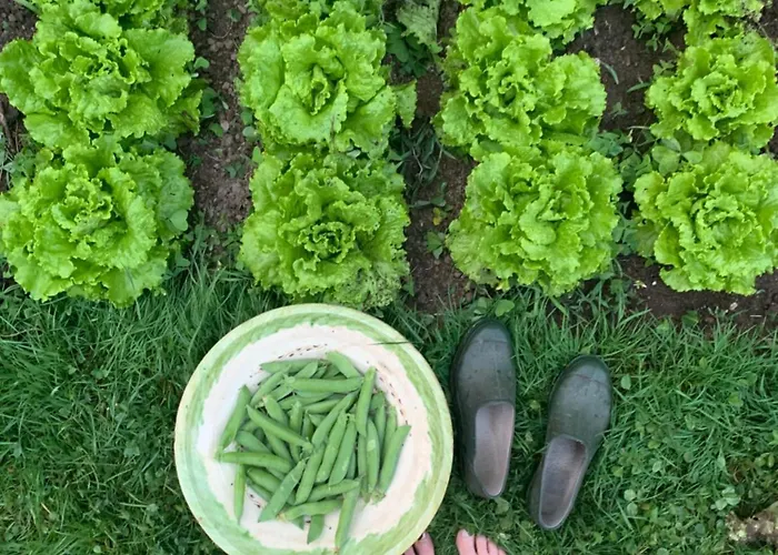 Remanso Del Rio Saja Renedo De Cabuerniga