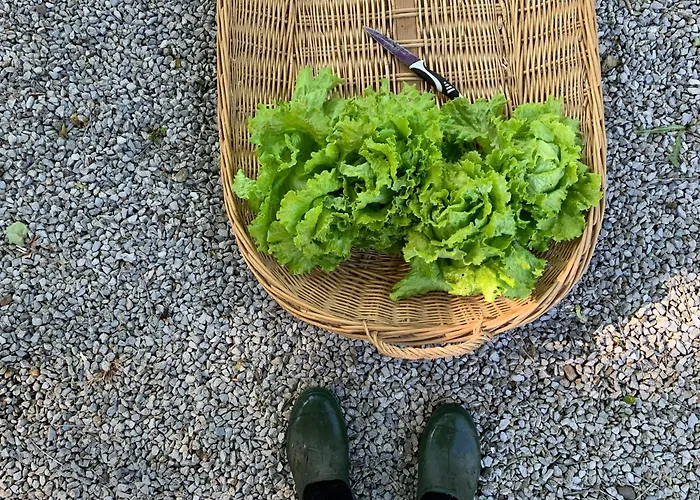 Semesterbostad Remanso Del Rio Saja *