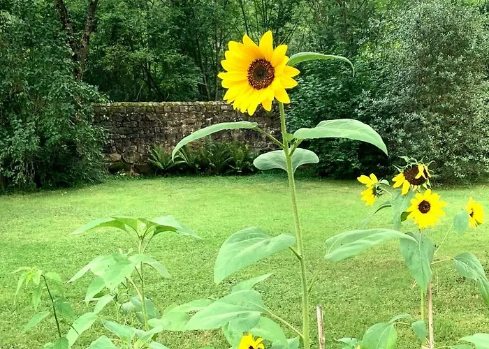 Semesterbostad Remanso Del Rio Saja Renedo De Cabuerniga