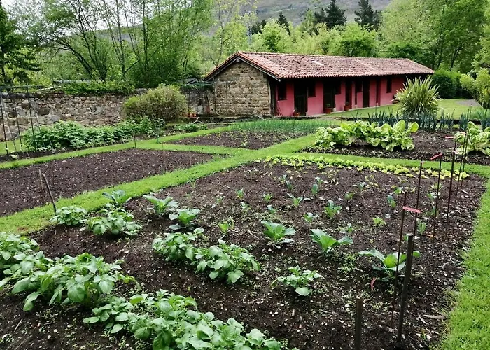 Remanso Del Rio Saja Renedo De Cabuerniga